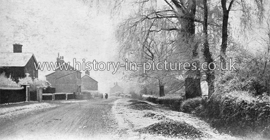 Chelmsford Road, Felsted, Essex. c.1905